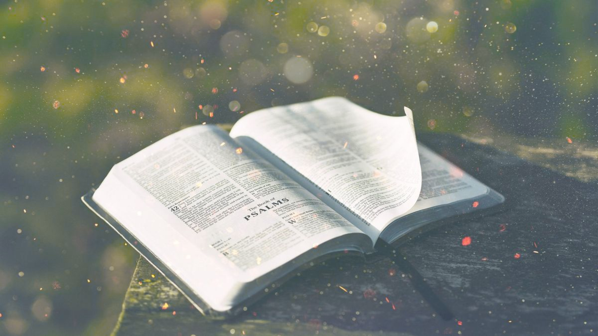 Vẻ đẹp của các Thánh Vịnh trong đời sống Kitô hữu